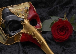 Agile theater costume mask